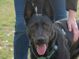 2024-09-10 00000264 Xena.jpg